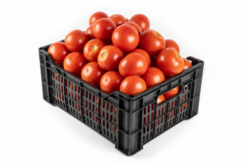 Zengo Fresh Tomato